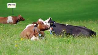 Thema Zukunft der Landwirtschaft [upl. by Nnitsuj]