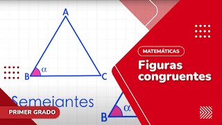 82 Figuras congruentes [upl. by Yeleek]