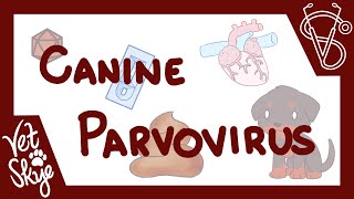 Canine Parvovirus  causes pathophysiology clinical signs diagnosis treatment prevention [upl. by Ragucci]