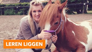 Leren liggen vrijheidsdressuur  PaardenpraatTV [upl. by Enalahs]