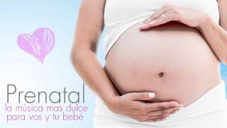 Prenatal la música mas dulce para vos y tu bebé FULL ALBUM [upl. by Lebatsirc]