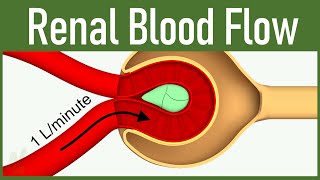 06 Renal Blood Flow [upl. by Atsahs]