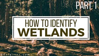 How to Identify and Avoid Wetlands  Part 1 [upl. by Zindman]