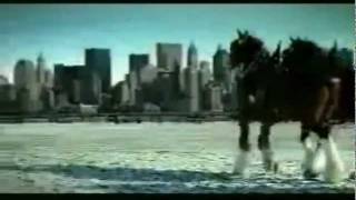 Budweiser Streaker Commercial  High Definition [upl. by Sabelle70]