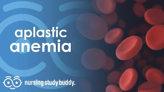 Aplastic Anemia  Nursing Study Buddy Video Library [upl. by Molini]