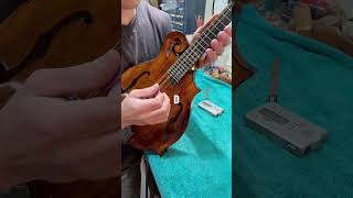 MANDOLIN Tuning [upl. by Frendel740]