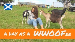 A day in the life of a WWOOFer  Scottish Highlands [upl. by Yseulta]