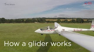 How a glider works [upl. by Akelahs714]