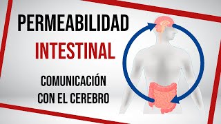 Así afecta la MICROBIOTA al SISTEMA NERVIOSO CENTRAL 🤔  Mar Alonso [upl. by Fiorenza]