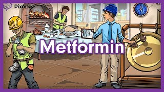 Metformin USMLE Mnemonic [upl. by Hepsiba]