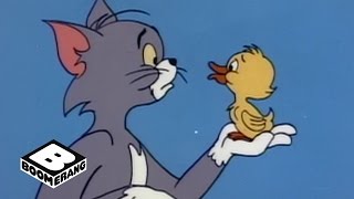 Tom and Jerry  Quackers Fall  Boomerang Official [upl. by Schlosser]