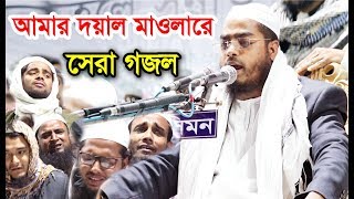 আমার দয়াল মাওলারে হাফিজুর রহমান সিদ্দিকীর সেরা গজল। Hafizur Rahman Siddiki New Gojol 2019 [upl. by Mahala]