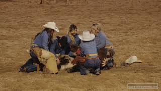 Womens Ranch Rodeo  Steer Mugging [upl. by Gnaig]