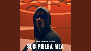 Sub pielea mea Midi Culture Remix [upl. by Verdha]