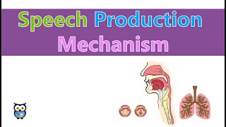 Speech Production Mechanism [upl. by Amein]