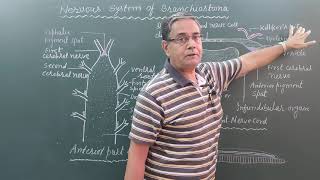 Digestive System Histology Explained for Beginners  Corporis [upl. by Lepley]