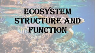 Ecosystem  structure and function  HPU BSc 1st year [upl. by Yenffad]