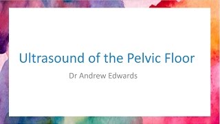 Pelvic Floor Assessment by Ultrasound [upl. by Leinadnhoj]