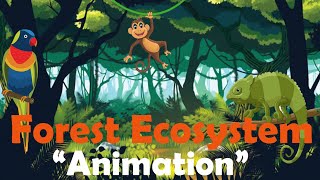 FOREST ECOSYSTEM  Biology Animation [upl. by Cindee]