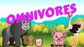 Omnivores  Types of Animal  Science for Kids [upl. by Desmund]