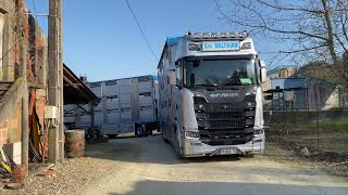 Essai camion Scania 730 S bétaillère Irma [upl. by Pinkerton]