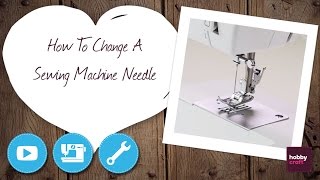 How to Change a Sewing Machine Needle  Hobbycraft [upl. by Eelsha]