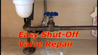 How To Fix A Leaky ShutOff Valve [upl. by Yahiya180]