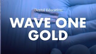 Endodontics Wave One Gold Demonstration [upl. by Krid]