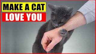 10 Scientific Ways to Get a Cat to Like You [upl. by Cornel]