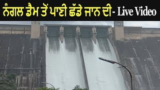 Water Release From Bhakra Dam at Nangal  Live Video [upl. by Sucerdor]