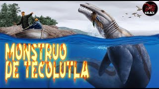 MONSTRUO DE TECOLUTLA  EXPEDIENTE OXLACK [upl. by Inah]