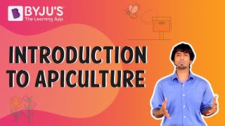 Apiculture or Beekeeping Introduction  BYJUS [upl. by Fosdick]