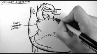 Coronary Circulation [upl. by Odracer97]