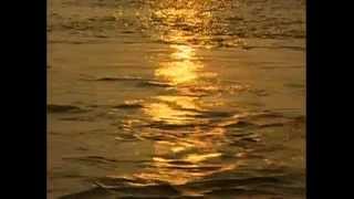 Ganga Maiya Ho Pawan Ganga Maiya I Ganga Bhajan I Ganga Maa [upl. by Enytsirhc]