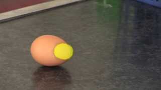 Egg Experiment to Demonstrate Inertia [upl. by Ailisab]