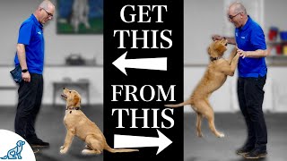 Teach Your Dog To Stop Jumping Up In 4 Simple Steps [upl. by Dlaregztif67]