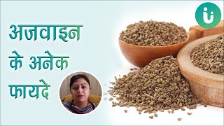 Sehjan Khane Ke fayde  Moringa Health Benefits  Himanshu Bhatt [upl. by Eirelam]