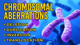 Chromosomal Aberrations  Deletion  Duplication  Inversion  Translocation [upl. by Kendal]