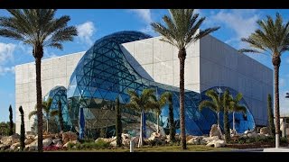 The Dali Museum An Unparalleled Experience [upl. by Elisabeth]