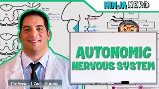 Neurology  Autonomic Nervous System [upl. by Ahsrav]