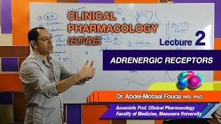 Autonomic Pharmacology Ar  Lec 02  Adrenergic Receptors [upl. by Alarick]