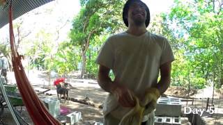 WWOOFing in Costa Rica [upl. by Pollie]