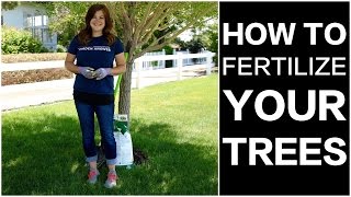 How to Fertilize Trees [upl. by Hugo]