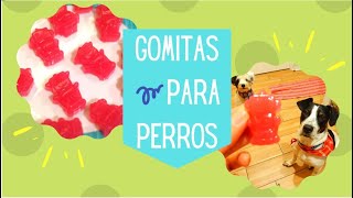 Gomitas para Perros 🐾  DIY 🙌  Premios caseros 🏠 [upl. by Rikahs]