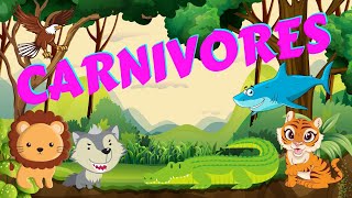 Carnivores  Types of Animals  Science for Kids [upl. by Louanna]