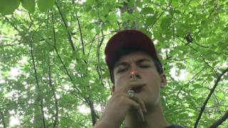 Marlboro Menthol Silver cig Review [upl. by Grange227]