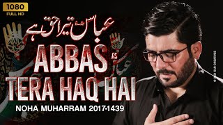 Abbasas Tera Haq Hai  Mir Hasan Mir  New Noha 2017 1439 HD [upl. by Batish476]