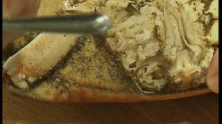 BBC  Rick Steins Seafood Odyssey  Special Features  Rick cooks fish [upl. by Nosyaj]