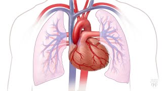 Kawasaki Disease Explained Includes Criteria amp Mnemonic [upl. by Cleon]