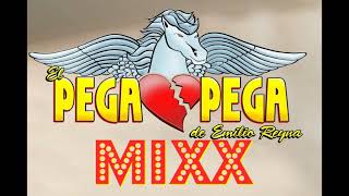 EL PEGA PEGA MIXX [upl. by Eecak]